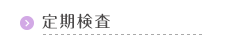 定期検査
